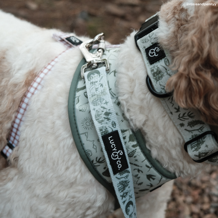 Camp Out Leash