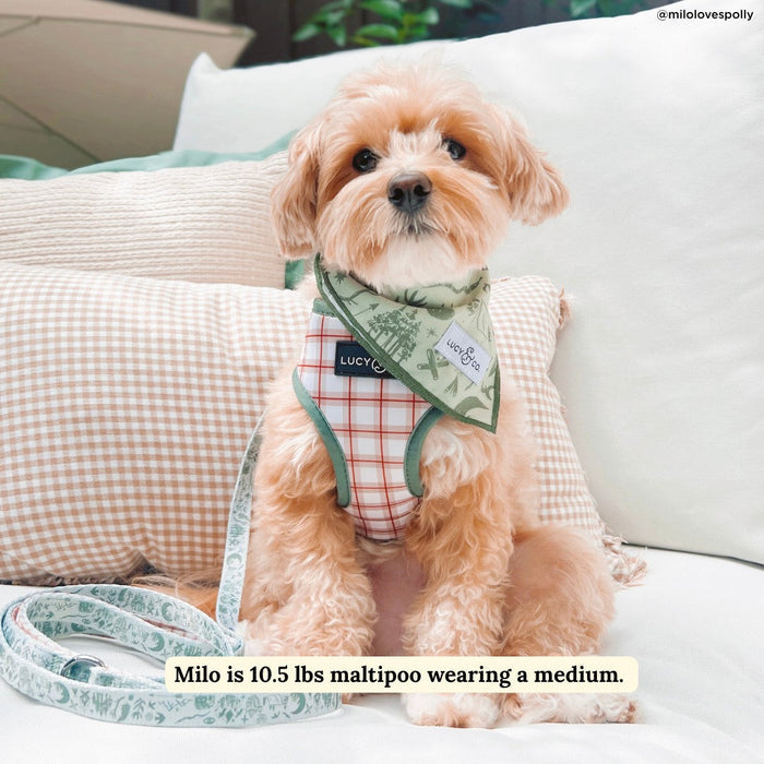 Camp Out Reversible Harness