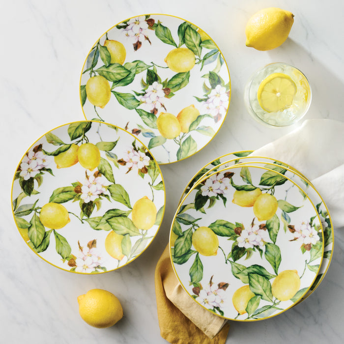 Carmen 6 Piece Dessert Plate Set