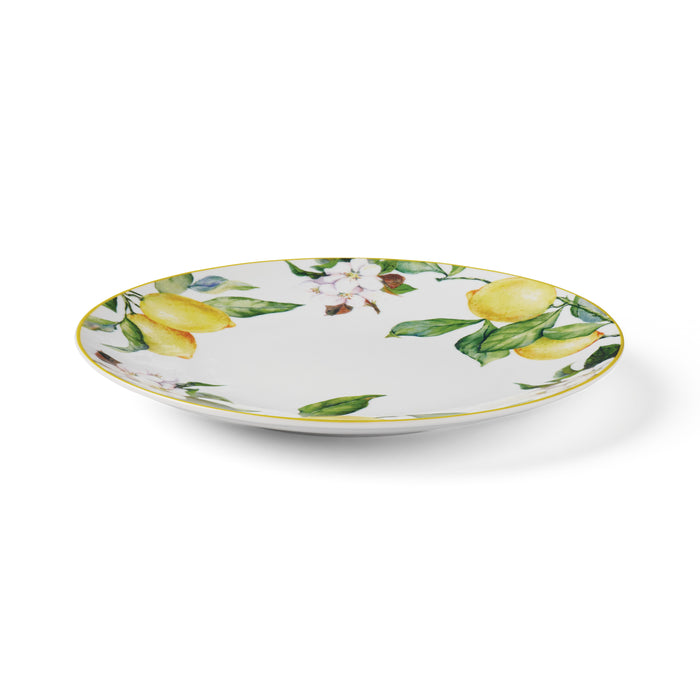 Carmen 6 Piece Dinner Plate Set