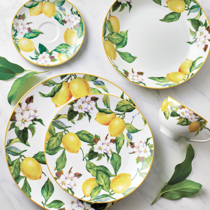 Carmen 6 Piece Dinner Plate Set