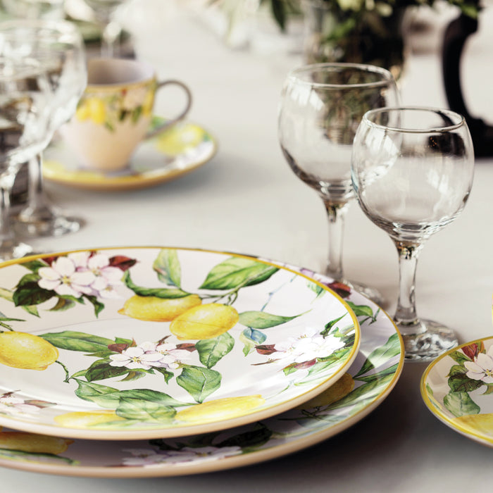 Carmen 6 Piece Dinner Plate Set