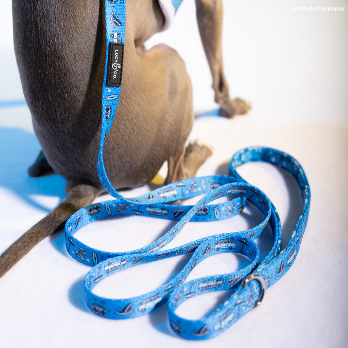 Catch a Wave Leash