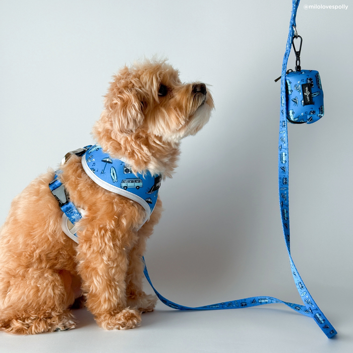 Catch a Wave Leash