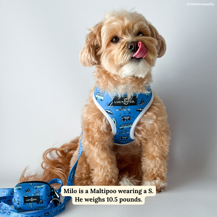 Catch a Wave Reversible Harness