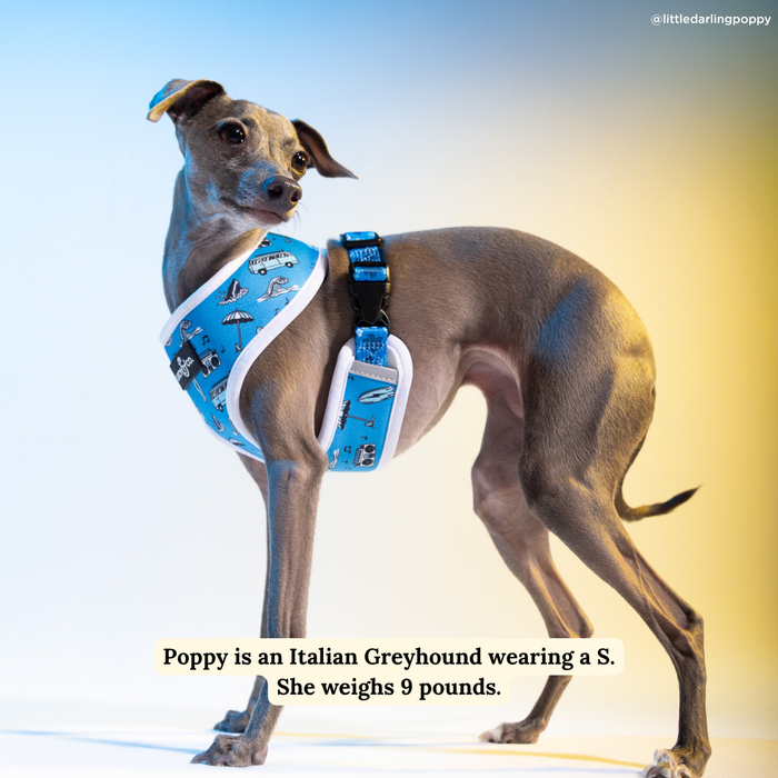 Catch a Wave Reversible Harness
