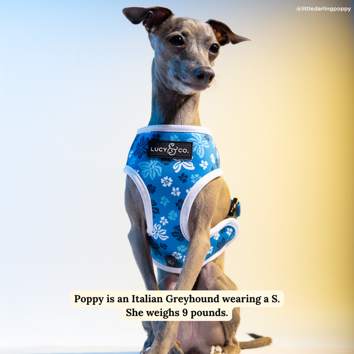 Catch a Wave Reversible Harness