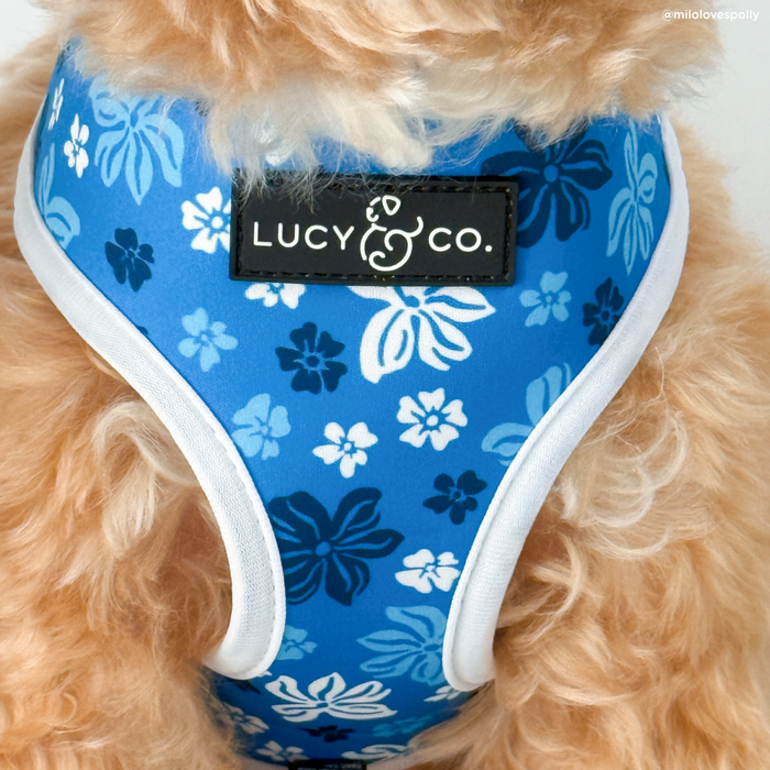 Catch a Wave Reversible Harness
