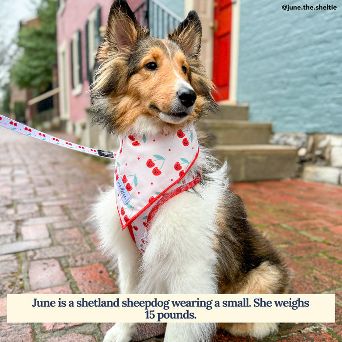 Cheery Cherries Bandana