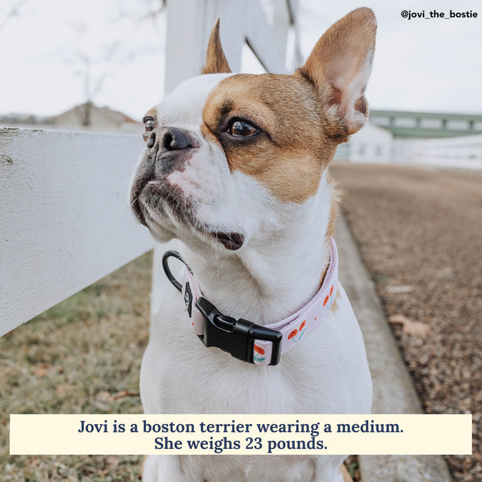 Cheery Cherries Collar