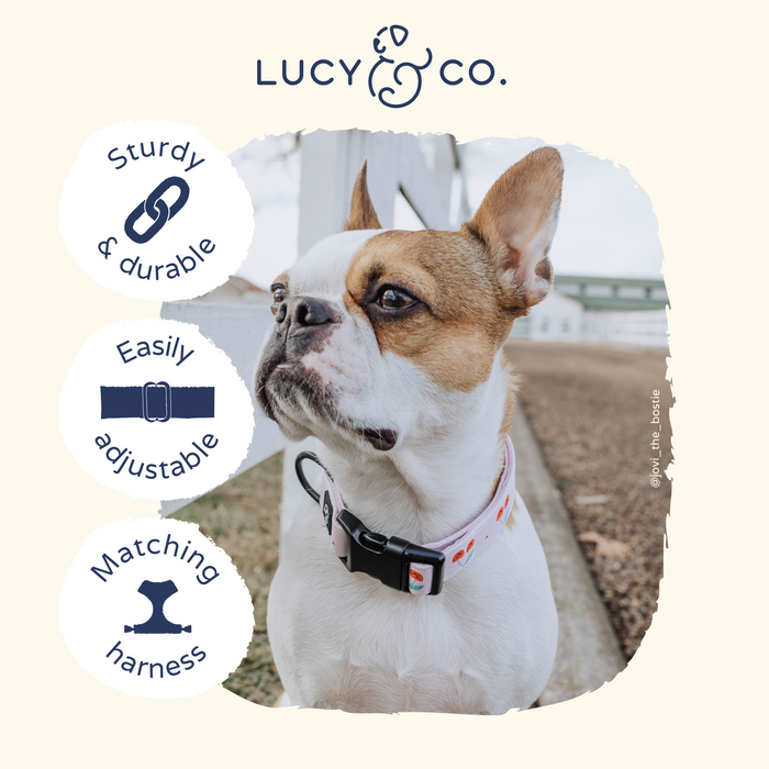 Cheery Cherries Collar