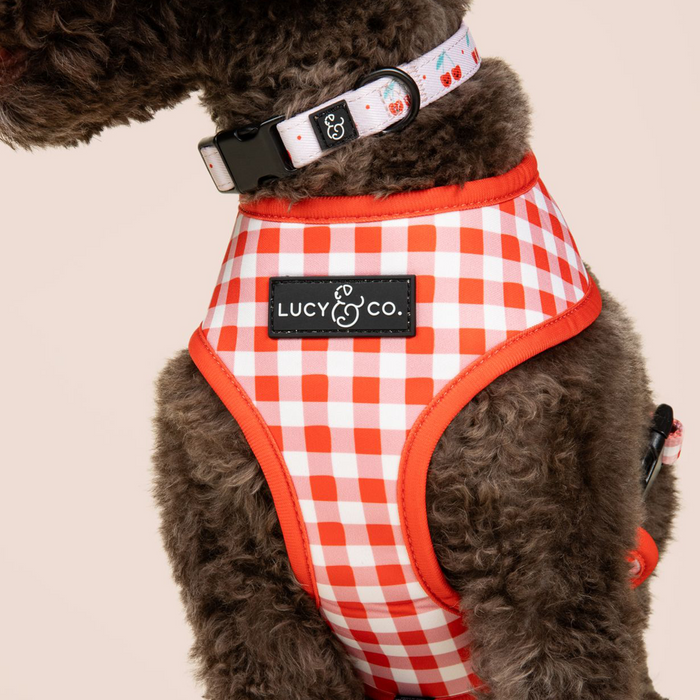 Cheery Cherries Collar