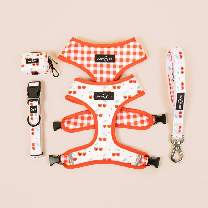 Cheery Cherries Collar