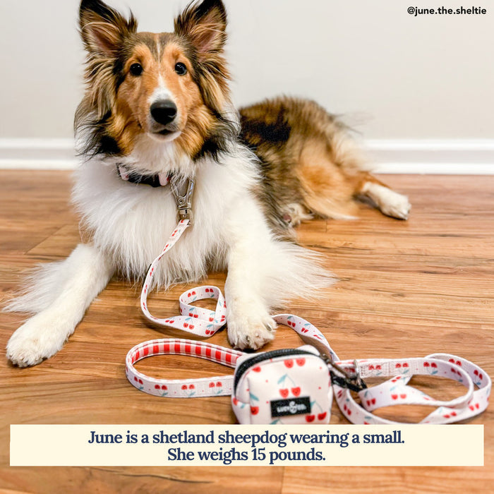 Cheery Cherries Leash