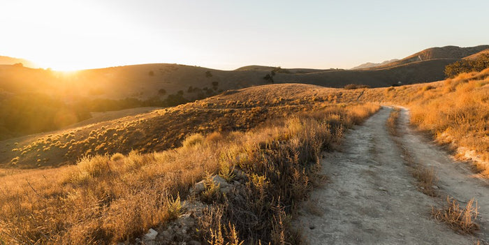 Cheeseboro-Palo Comado Canyons Trail Map