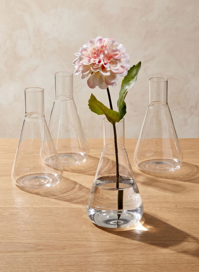 Chemist Flasks Decor Jamali Garden