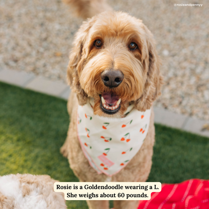 Cherry Cute Bandana