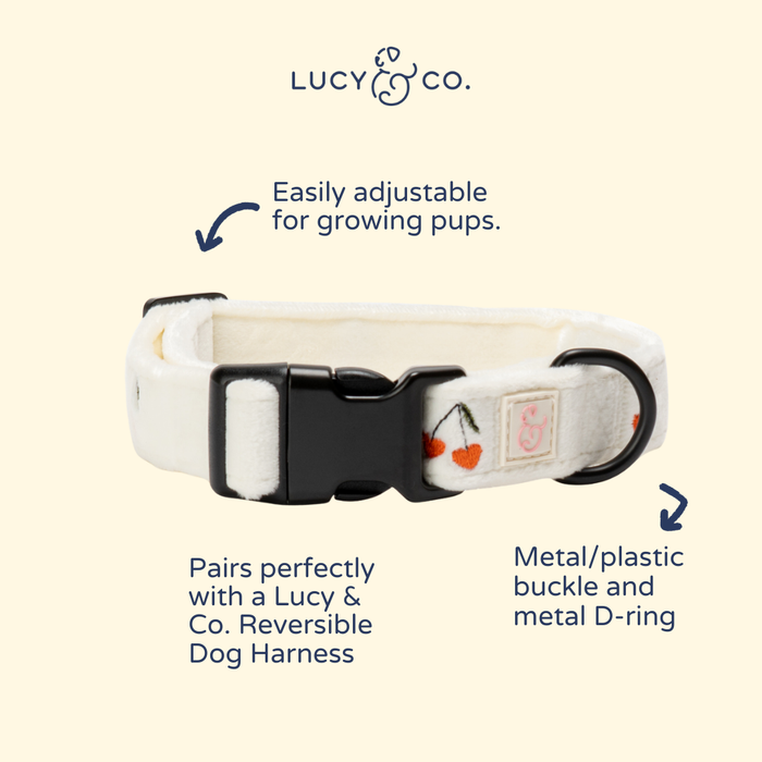Cherry Cute Collar