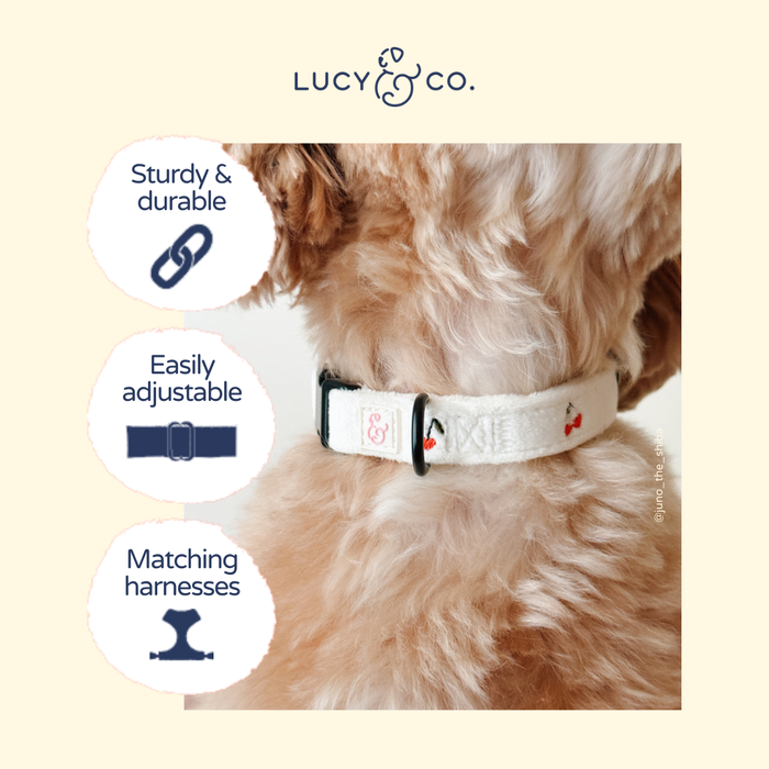 Cherry Cute Collar