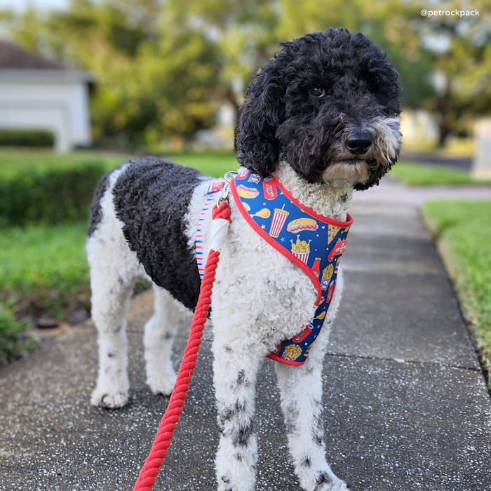 Cherry Red Hands-Free Rope Leash