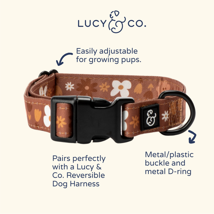 Chocolate Meadows Collar