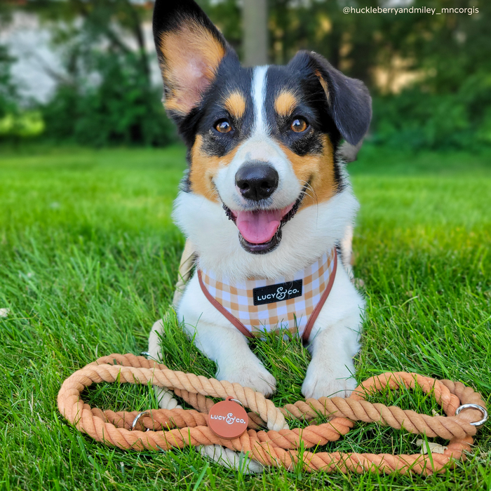 Chocolate Meadows Hands-Free Rope Leash