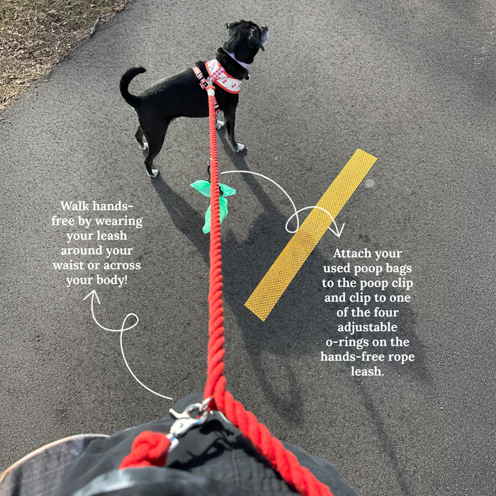 Chocolate Meadows Hands-Free Rope Leash