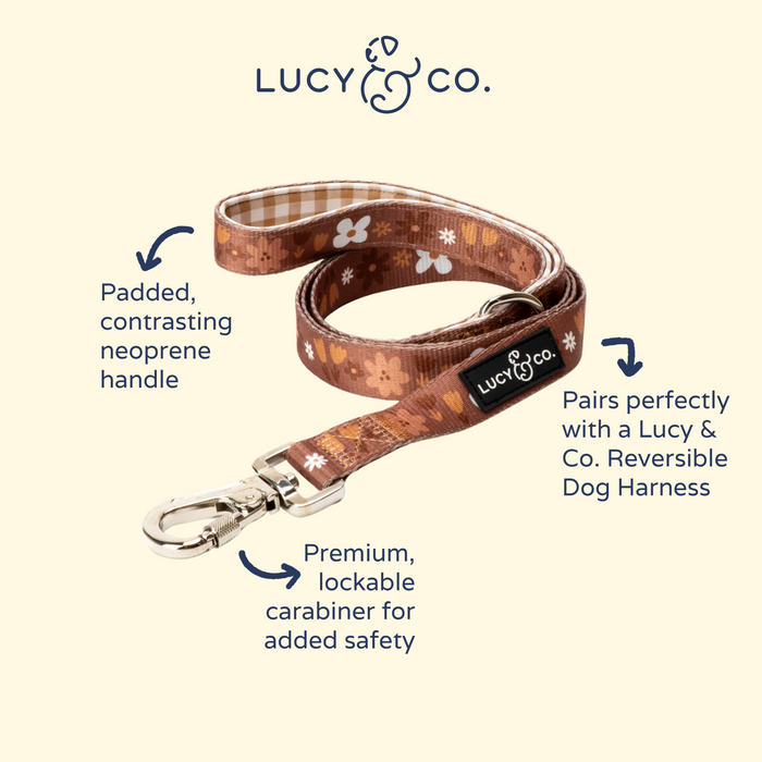 Chocolate Meadows Leash