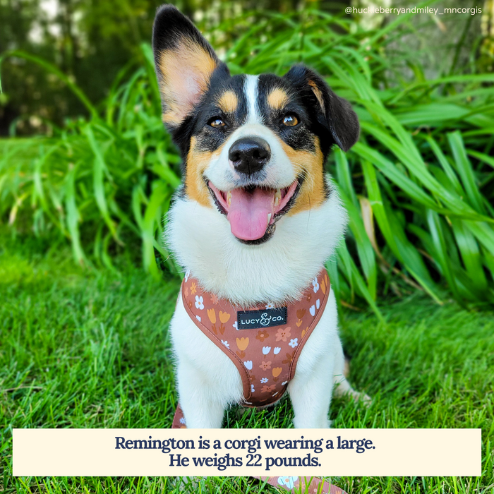 Chocolate Meadows Reversible Harness