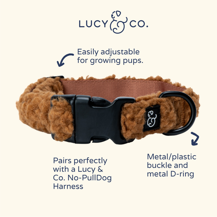 Cinnamon Teddy Collar