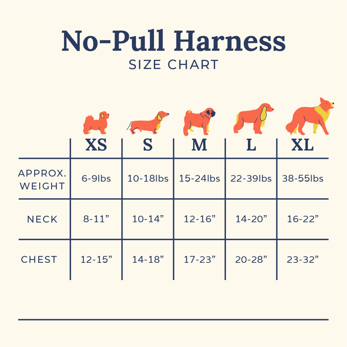 Cinnamon Teddy No-Pull Harness