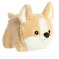 Colby Corgi Spudster