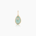 Cowrie Amazonite Shell