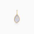 Cowrie Blue Lace Shell