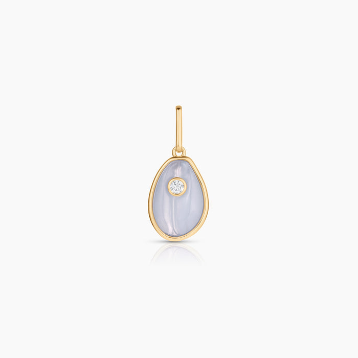 Cowrie Blue Lace Shell