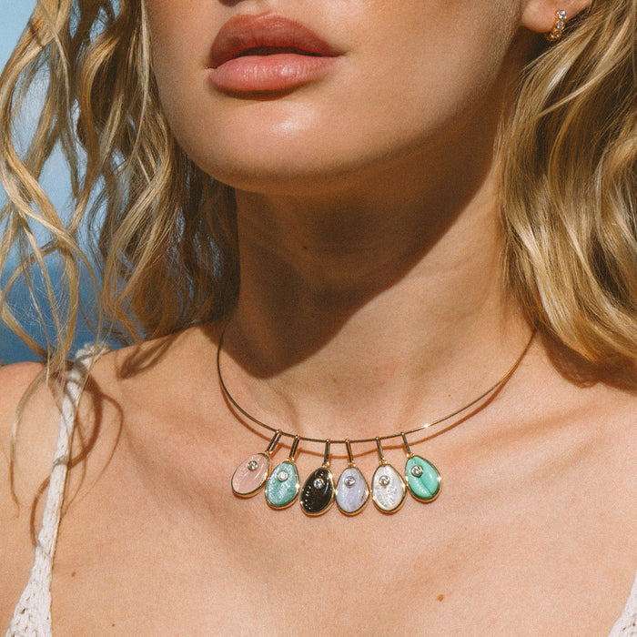 Cowrie Blue Lace Shell