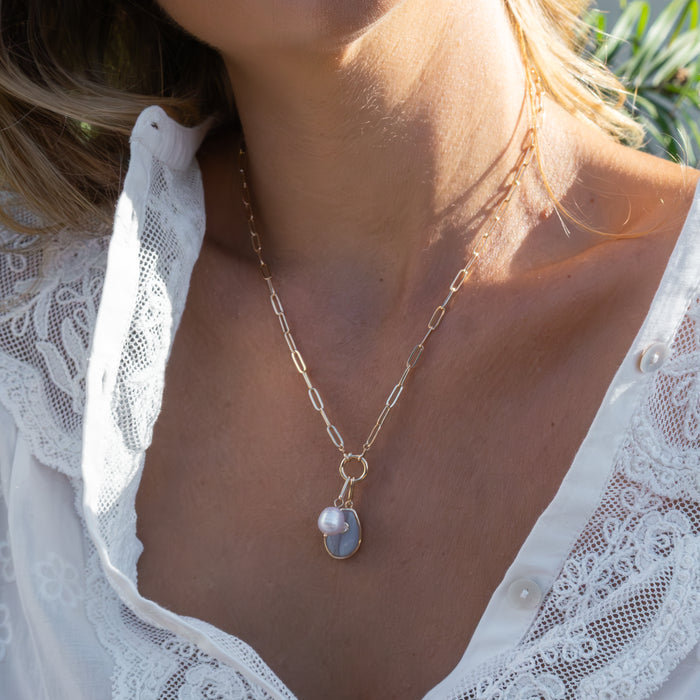 Cowrie Blue Lace Shell