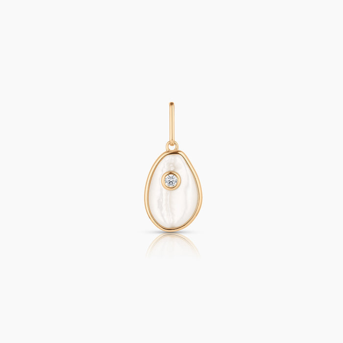 Cowrie Mother Of Pearl Shell