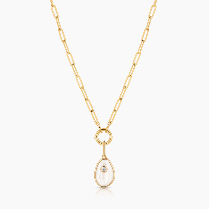 Cowrie Mother Of Pearl Shell