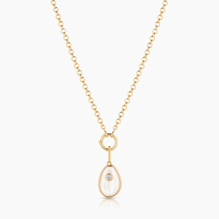 Cowrie Mother Of Pearl Shell