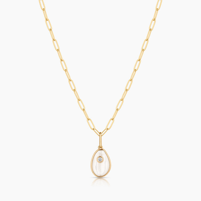 Cowrie Mother Of Pearl Shell