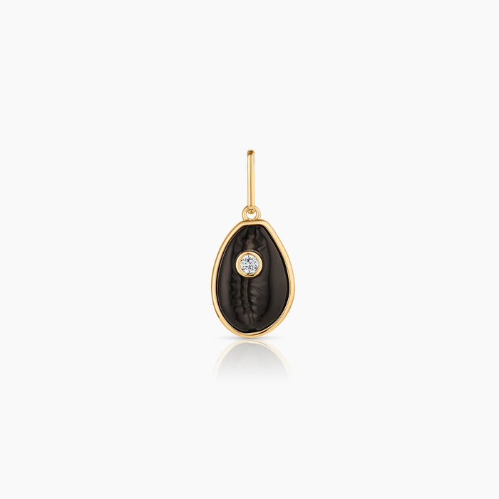 Cowrie Onyx Shell