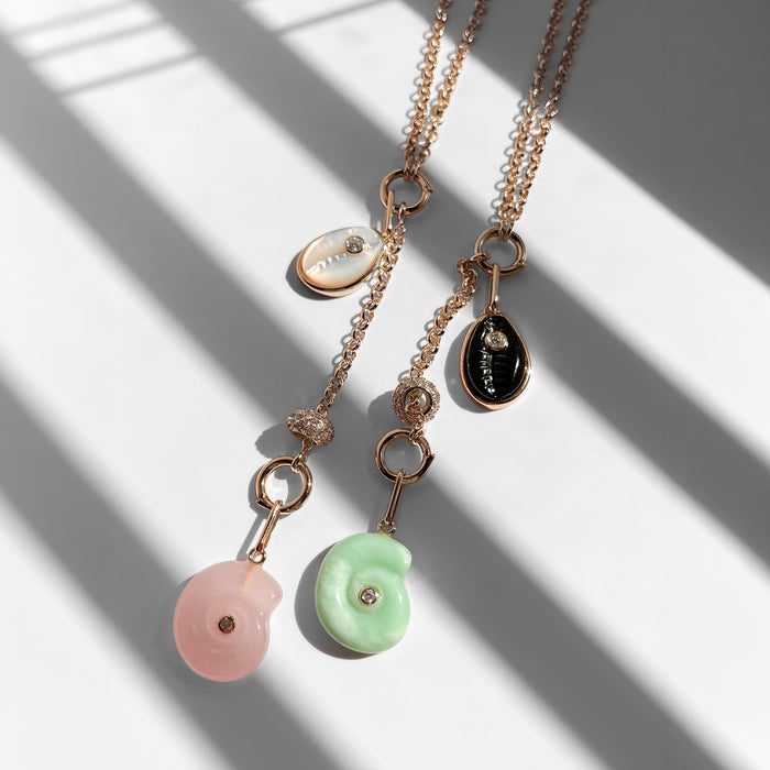 Cowrie Onyx Shell