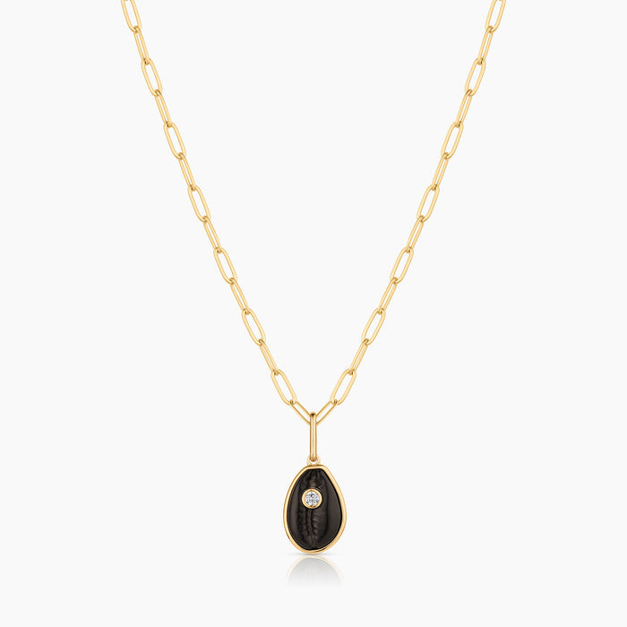 Cowrie Onyx Shell