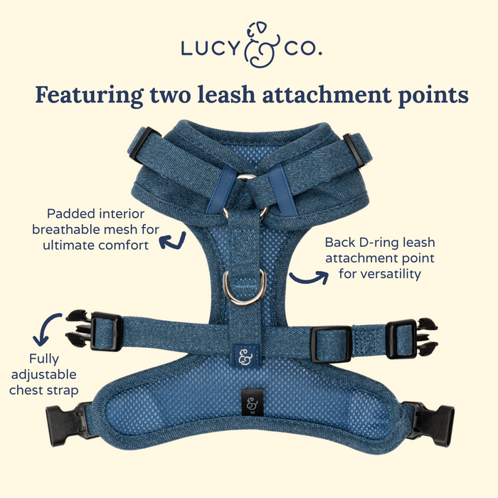 Cute to Boot No-Pull Harness