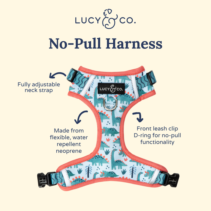 DinoROAR No-Pull Harness
