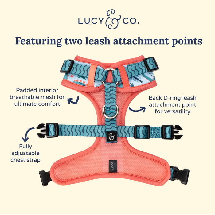 DinoROAR No-Pull Harness