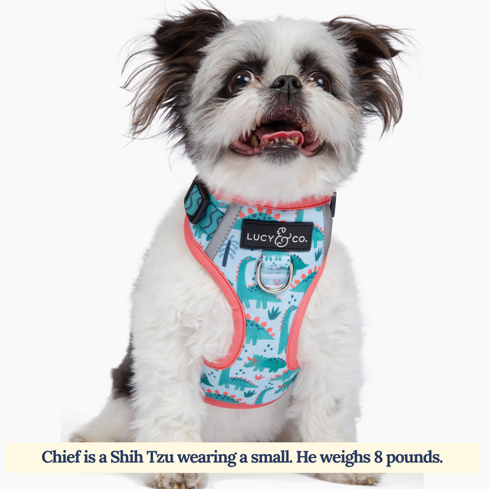 DinoROAR No-Pull Harness