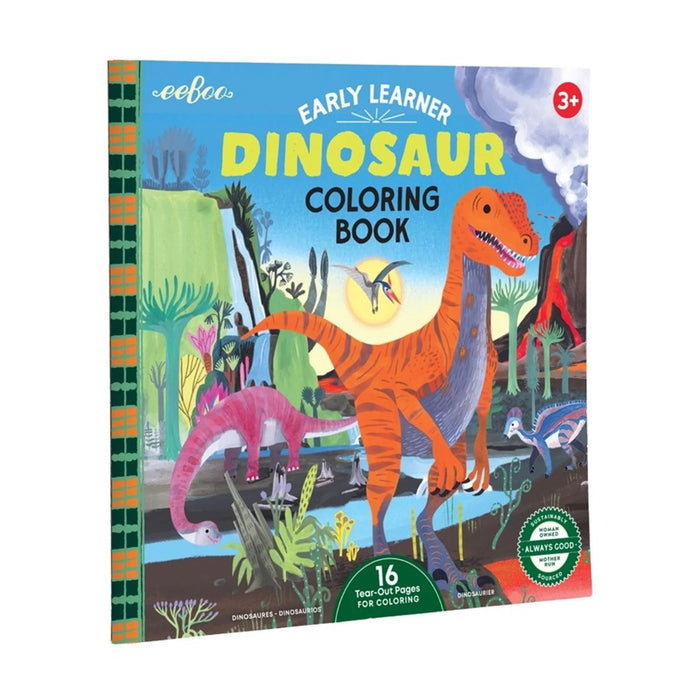 Dinosaur Square Coloring Book