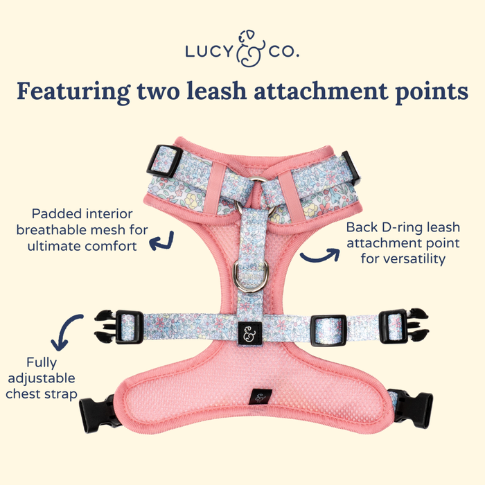 Ditsy Daydream No-Pull Harness